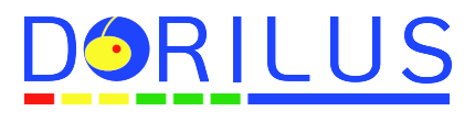 dorilus ingénierie
